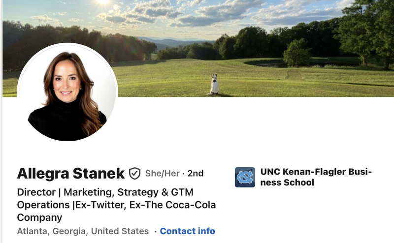 Allegra Stanek LinkedIn Profile