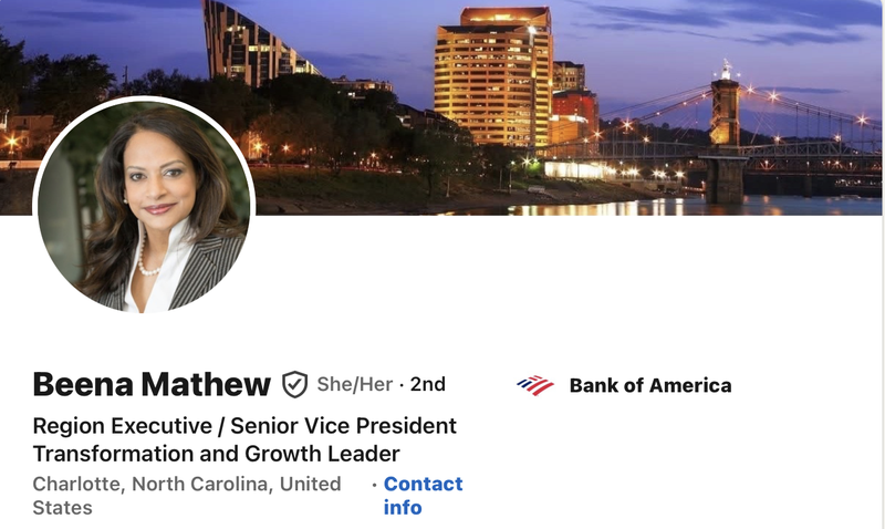 Beena Mathew LinkedIn Profile